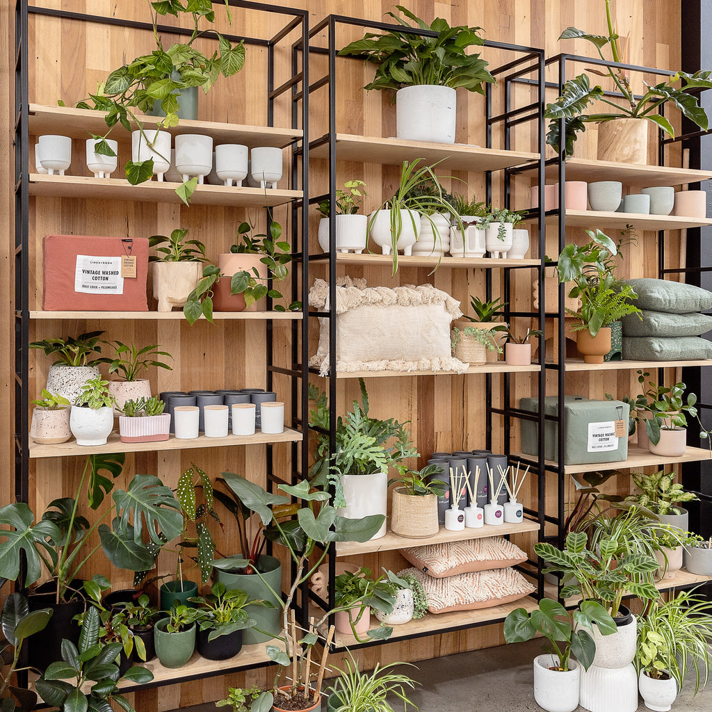 Side view of the plant wall in Linen Room, Melbourne